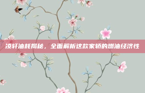凌轩油耗揭秘，全面解析这款家轿的燃油经济性