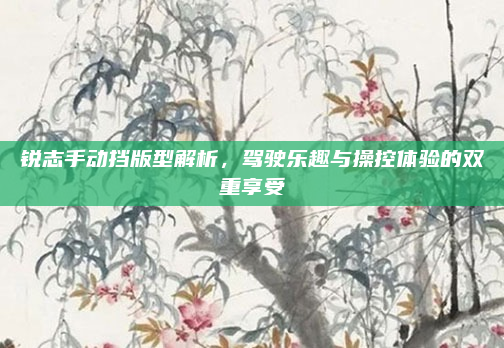 锐志手动挡版型解析，驾驶乐趣与操控体验的双重享受