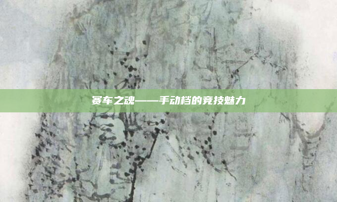 赛车之魂——手动档的竞技魅力