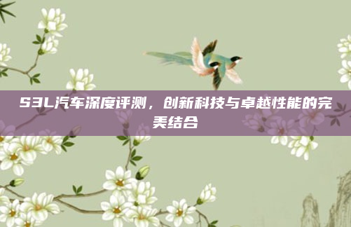 S3L汽车深度评测，创新科技与卓越性能的完美结合