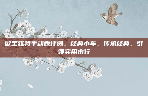欧宝雅特手动版评测，经典小车，传承经典，引领实用出行