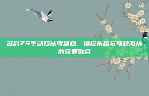 名爵ZS手动挡试驾体验，操控乐趣与驾驶激情的完美融合