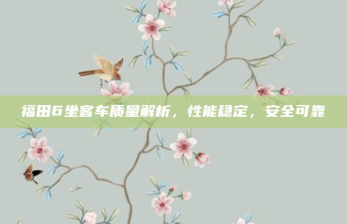 福田6坐客车质量解析，性能稳定，安全可靠