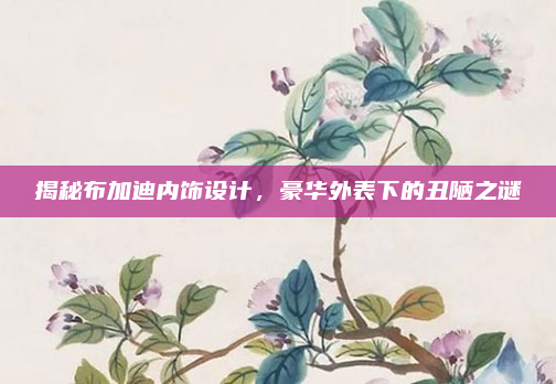 揭秘布加迪内饰设计，豪华外表下的丑陋之谜