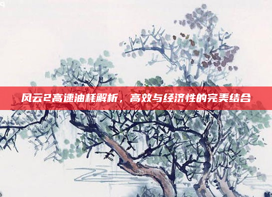 风云2高速油耗解析，高效与经济性的完美结合