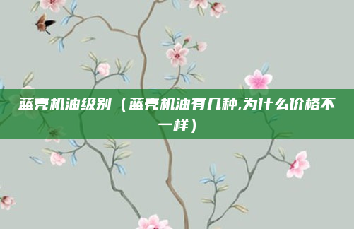 蓝壳机油级别(蓝壳机油有几种,为什么价格不一样)