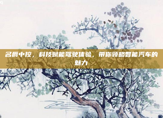 名爵中控，科技赋能驾驶体验，带你领略智能汽车的魅力
