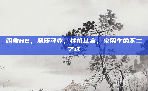 哈弗H2，品质可靠，性价比高，家用车的不二之选