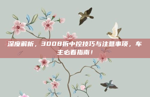 深度解析，3008拆中控技巧与注意事项，车主必看指南！