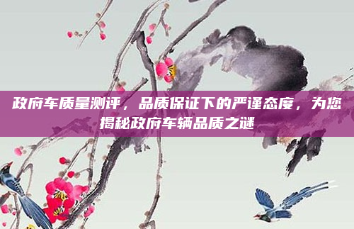政府车质量测评,品质保证下的严谨态度,为您揭秘政府车辆品质之谜