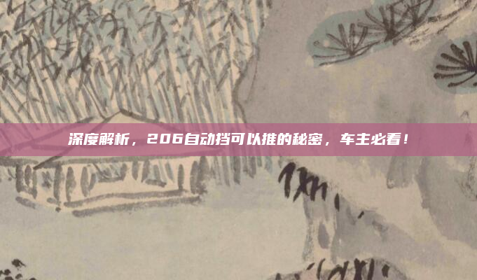 深度解析，206自动挡可以推的秘密，车主必看！