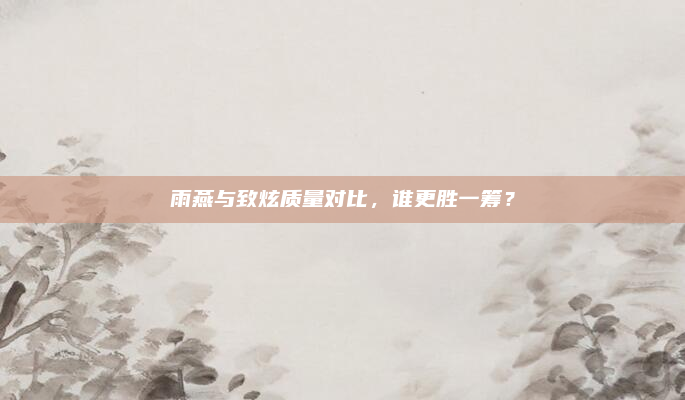 雨燕与致炫质量对比，谁更胜一筹？