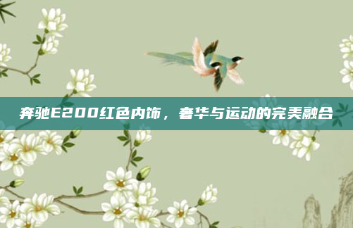 奔驰E200红色内饰，奢华与运动的完美融合
