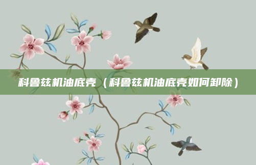科鲁兹机油底壳(科鲁兹机油底壳如何卸除)
