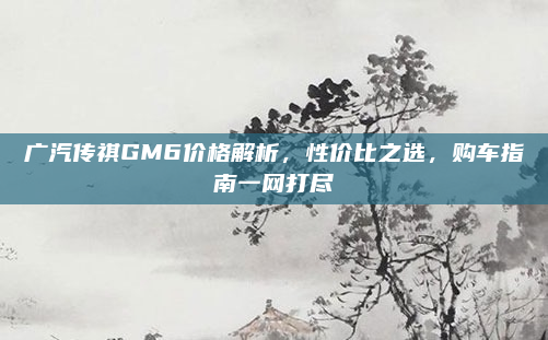 广汽传祺GM6价格解析，性价比之选，购车指南一网打尽