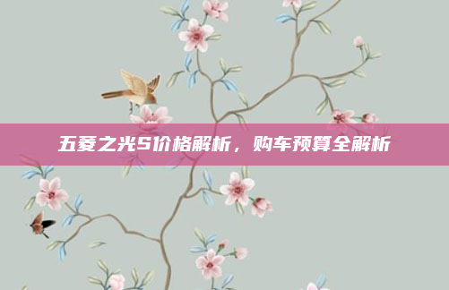 五菱之光S价格解析，购车预算全解析