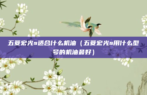 五菱宏光s适合什么机油(五菱宏光s用什么型号的机油最好)