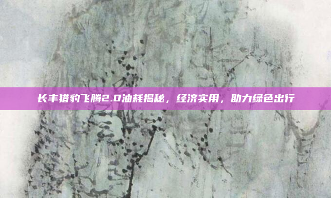 长丰猎豹飞腾2.0油耗揭秘，经济实用，助力绿色出行