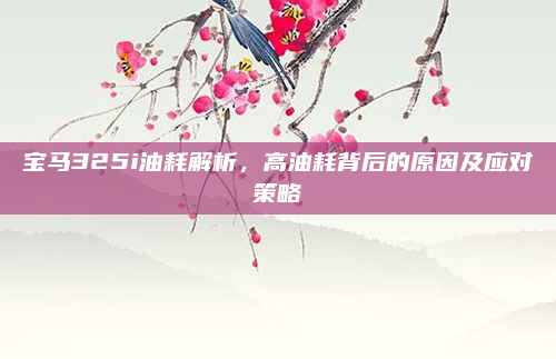 宝马325i油耗解析，高油耗背后的原因及应对策略