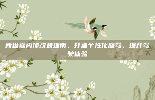 新世嘉内饰改装指南，打造个性化座驾，提升驾驶体验