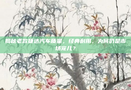 揭秘老款捷达汽车质量，经典耐用，为何仍是市场宠儿？