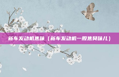 新车发动机焦味(新车发动机一股焦臭味儿)