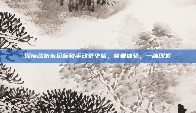 深度解析东风标致手动豪华版，尊贵体验，一触即发