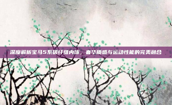 深度解析宝马5系碳纤维内饰，奢华质感与运动性能的完美融合