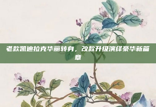 老款凯迪拉克华丽转身，改款升级演绎豪华新篇章