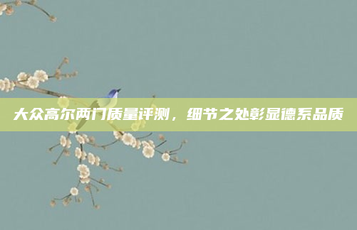 大众高尔两门质量评测，细节之处彰显德系品质