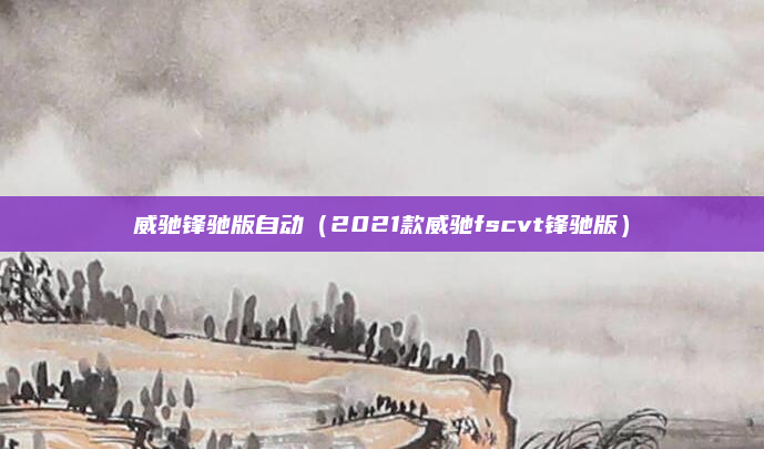 威驰锋驰版自动（2021款威驰fscvt锋驰版）
