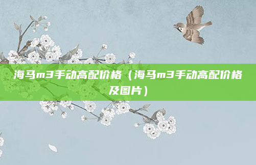 海马m3手动高配价格（海马m3手动高配价格及图片）