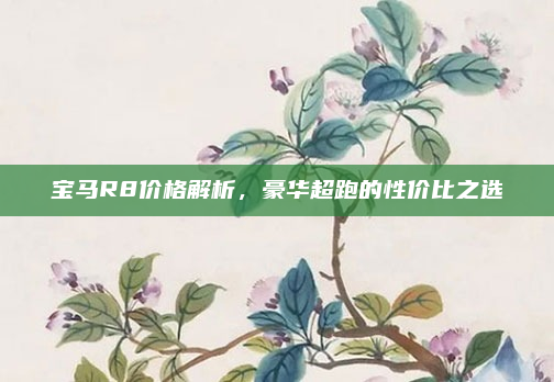 宝马R8价格解析，豪华超跑的性价比之选