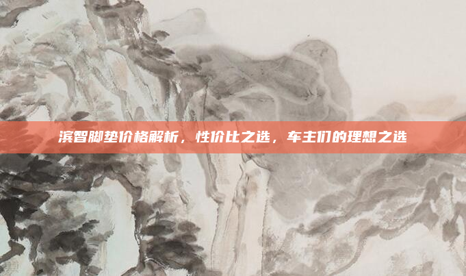 滨智脚垫价格解析，性价比之选，车主们的理想之选