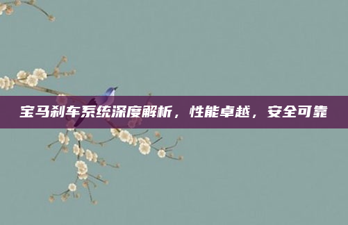 宝马刹车系统深度解析，性能卓越，安全可靠