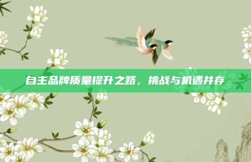 自主品牌质量提升之路，挑战与机遇并存
