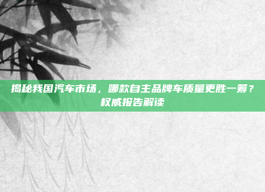 揭秘我国汽车市场，哪款自主品牌车质量更胜一筹？权威报告解读