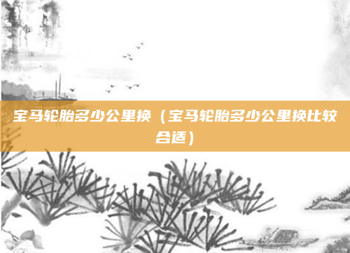 宝马轮胎多少公里换（宝马轮胎多少公里换比较合适）