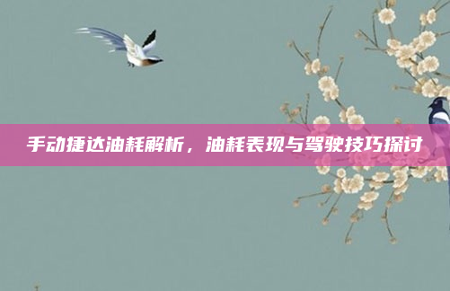 手动捷达油耗解析，油耗表现与驾驶技巧探讨