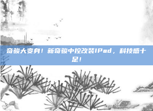 奇骏大变身！新奇骏中控改装IPad，科技感十足！