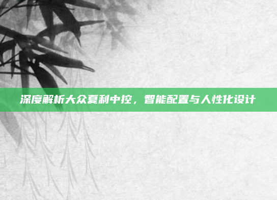 深度解析大众夏利中控，智能配置与人性化设计