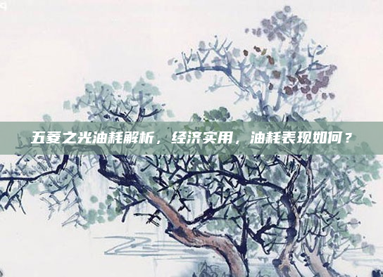 五菱之光油耗解析，经济实用，油耗表现如何？