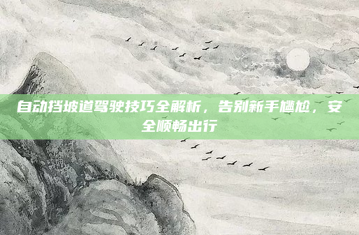 自动挡坡道驾驶技巧全解析，告别新手尴尬，安全顺畅出行