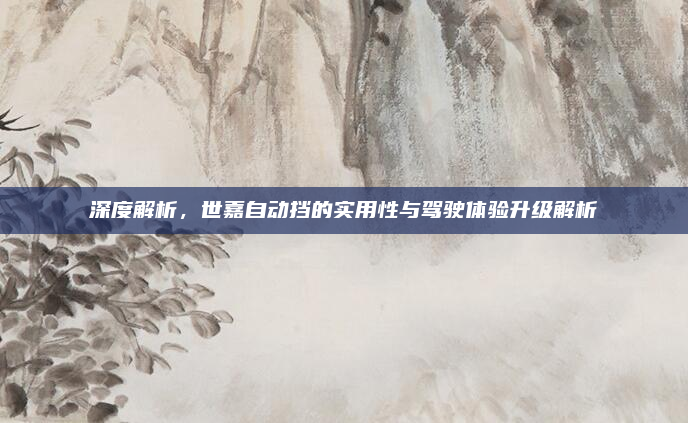 深度解析，世嘉自动挡的实用性与驾驶体验升级解析