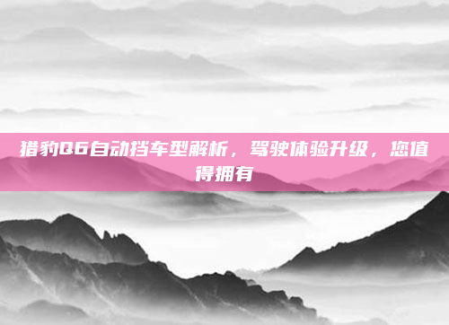 猎豹Q6自动挡车型解析，驾驶体验升级，您值得拥有