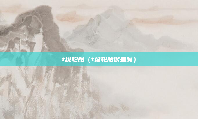 t级轮胎(t级轮胎很差吗)