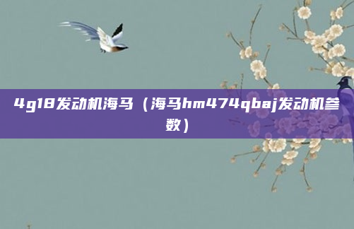 4g18发动机海马（海马hm474qbaj发动机参数）