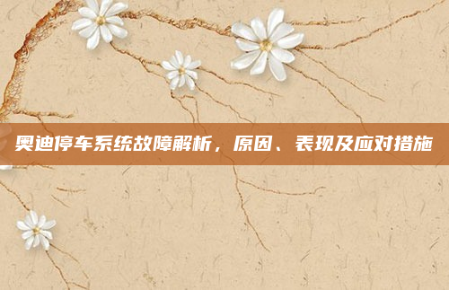 奥迪停车系统故障解析，原因、表现及应对措施