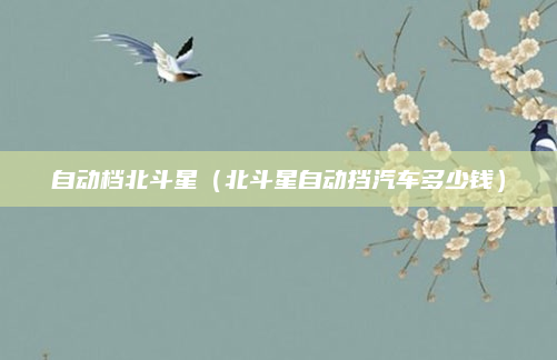 自动档北斗星(北斗星自动挡汽车多少钱)