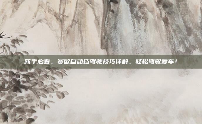 新手必看，赛欧自动挡驾驶技巧详解，轻松驾驭爱车！